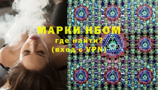 индика Медвежьегорск