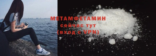 индика Медвежьегорск