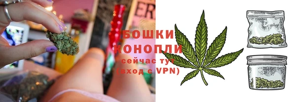 индика Медвежьегорск