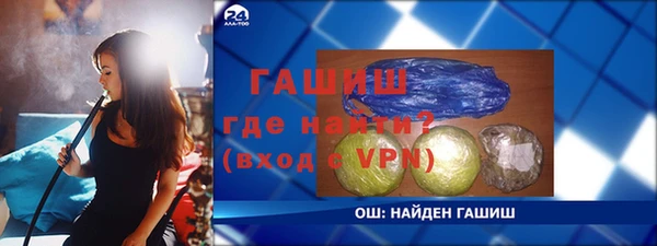индика Медвежьегорск