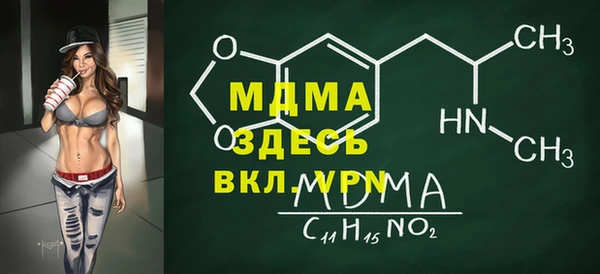индика Медвежьегорск