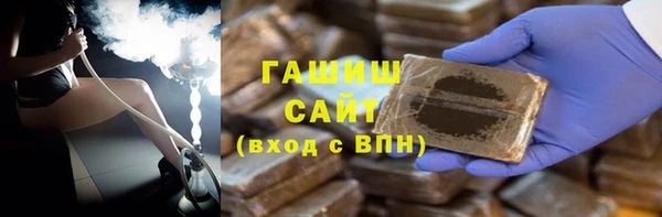 индика Медвежьегорск