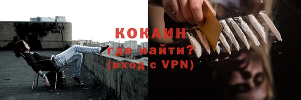 индика Медвежьегорск