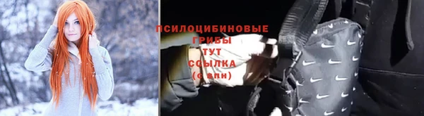 бошки Медногорск