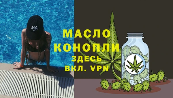 индика Медвежьегорск