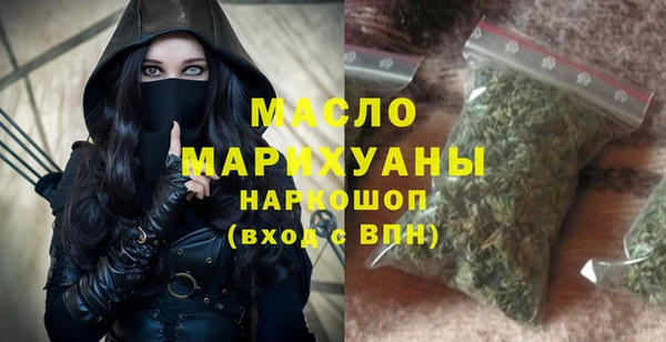 индика Медвежьегорск