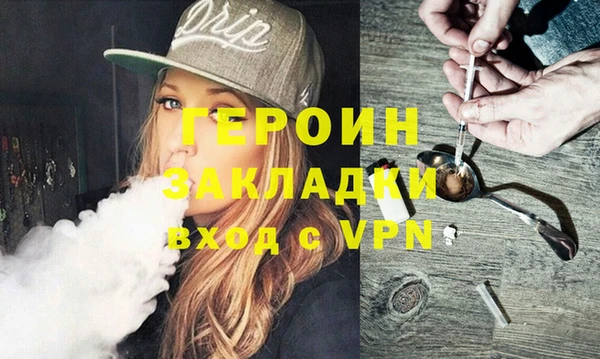 индика Медвежьегорск