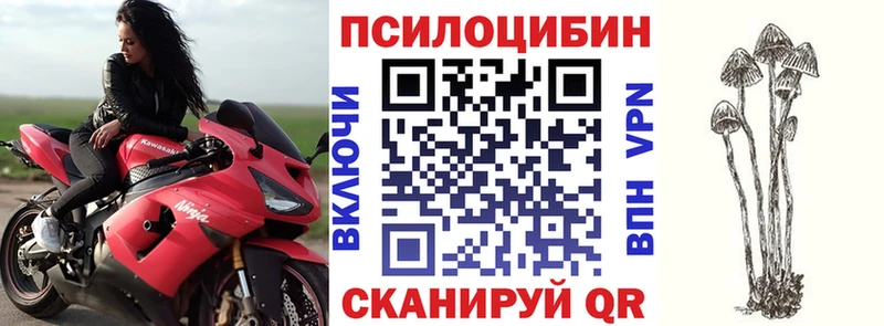 Галлюциногенные грибы мухоморы  сколько стоит  KRAKEN ссылки  Суворов 