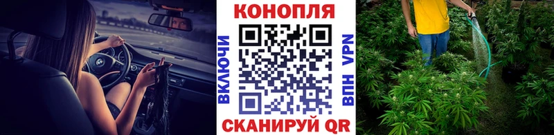 где купить   Суворов  Каннабис Ganja 
